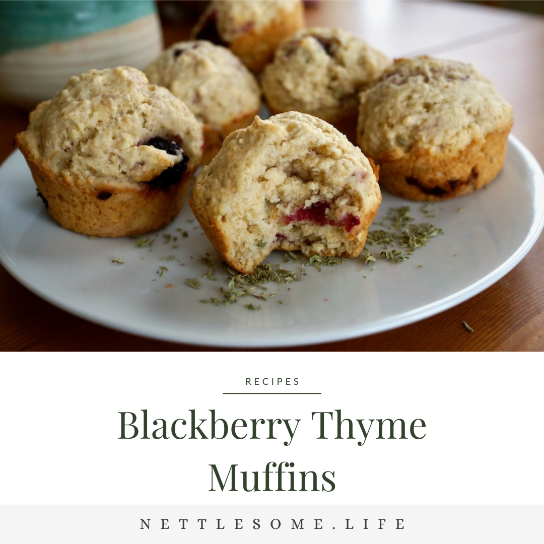 Blackberry & Thyme Muffin Recipe