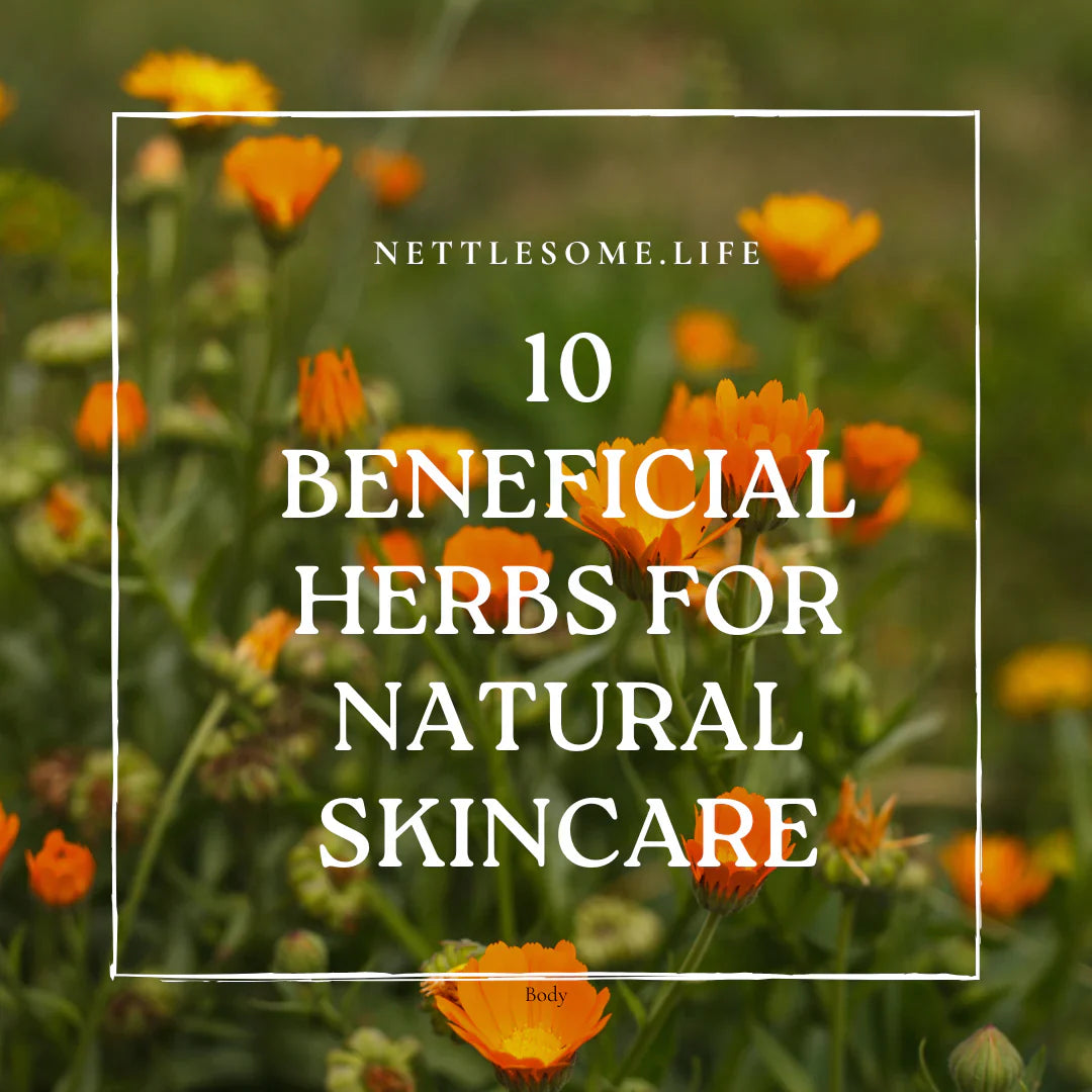 10 Beneficial Herbs for Natural Skin Care