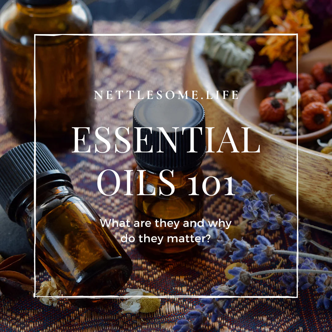 Essential Oils 101_ What They Are &amp; Why They Matter