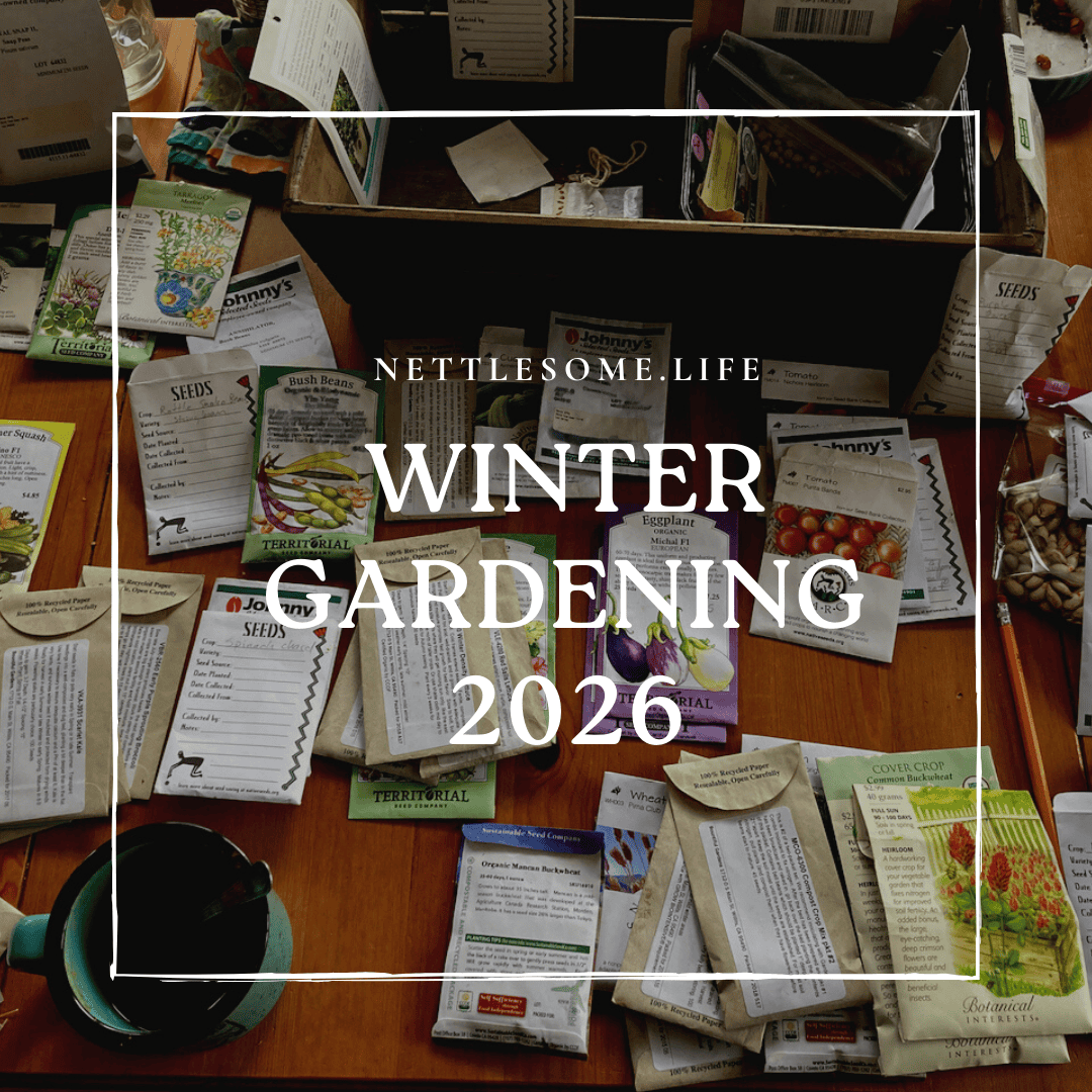 seed packets laid out on a table