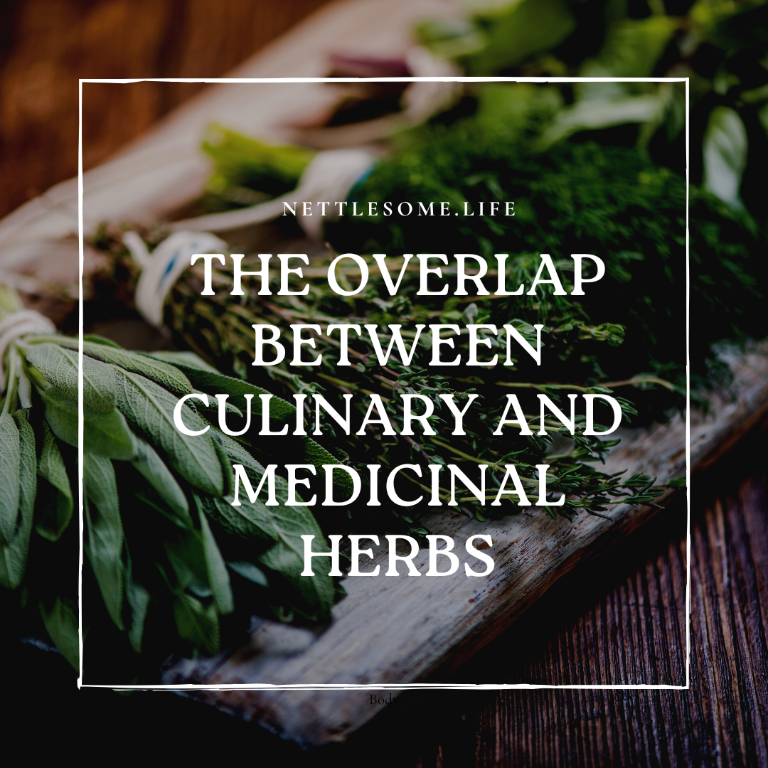 fresh herbs on a wooden table