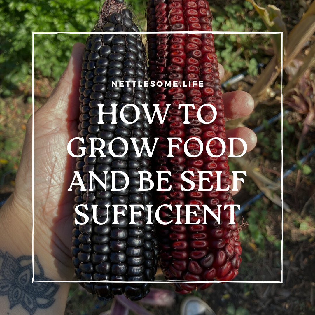 “How do I grow my own food and be self-sufficient?”