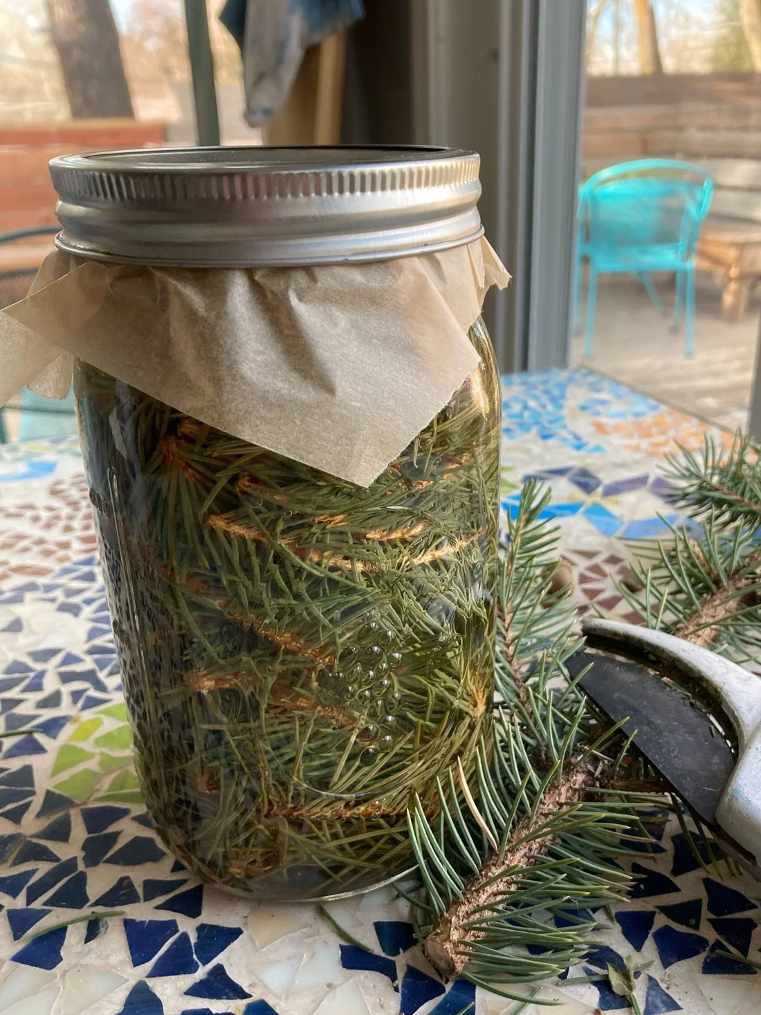 Fir Needle Vinegar