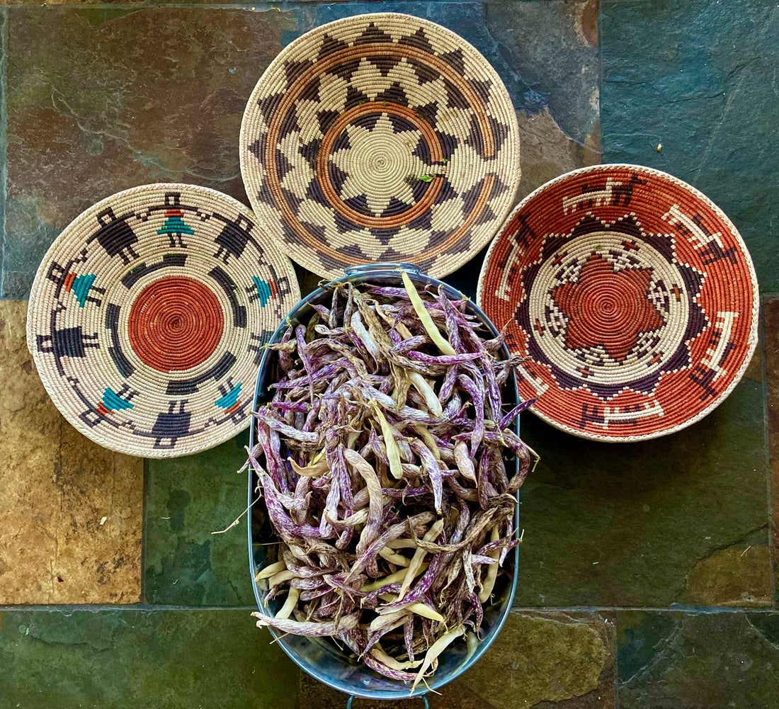 Beans and Soap a September Update