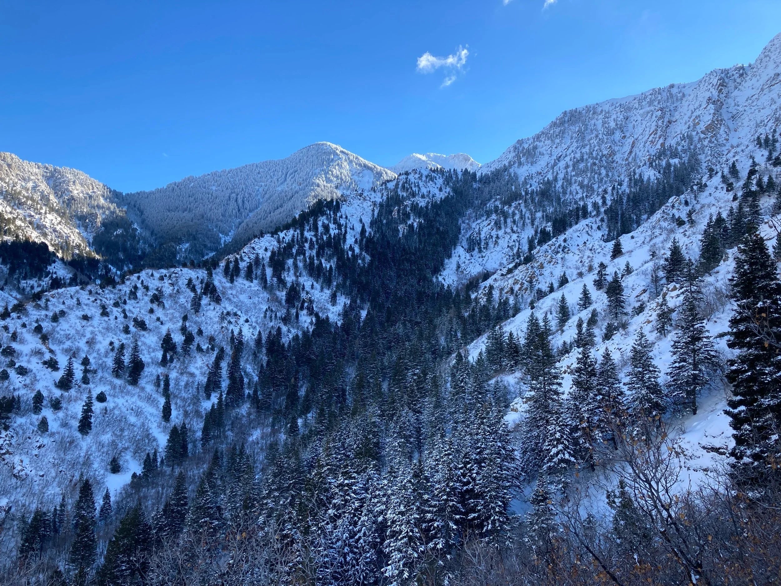 Do you winter hike?