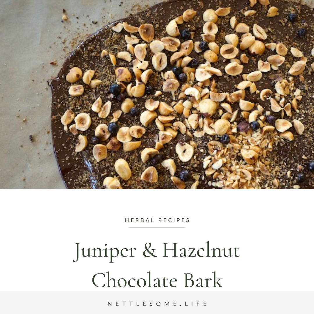hazelnuts juniper berries on melted chocolate on baking paper