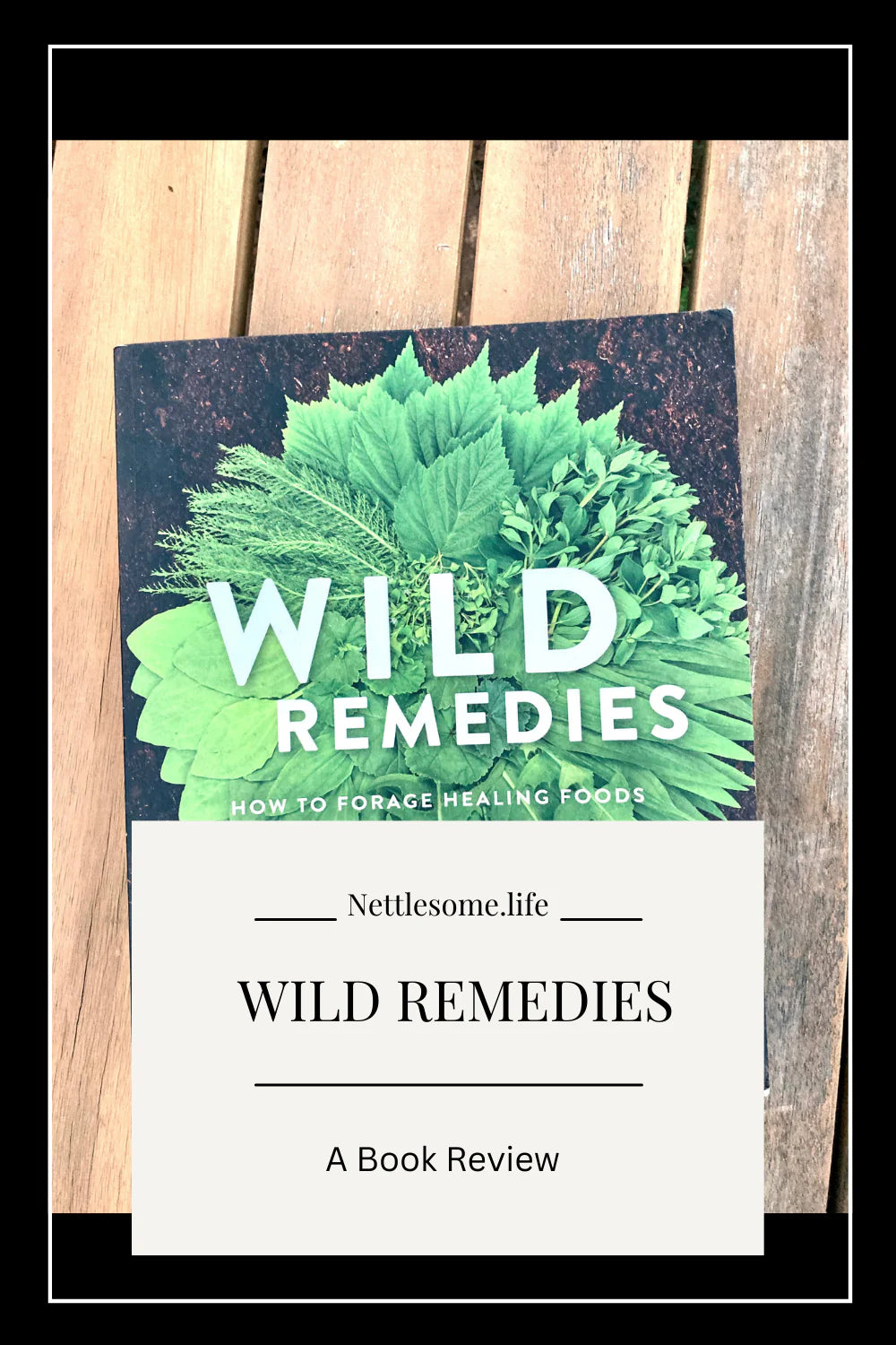 From the BookShelf_ Wild Remedies