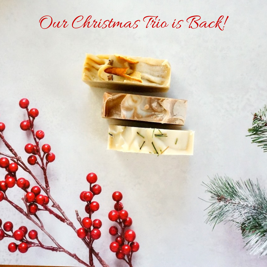 Our Holiday Soap Collection is HERE