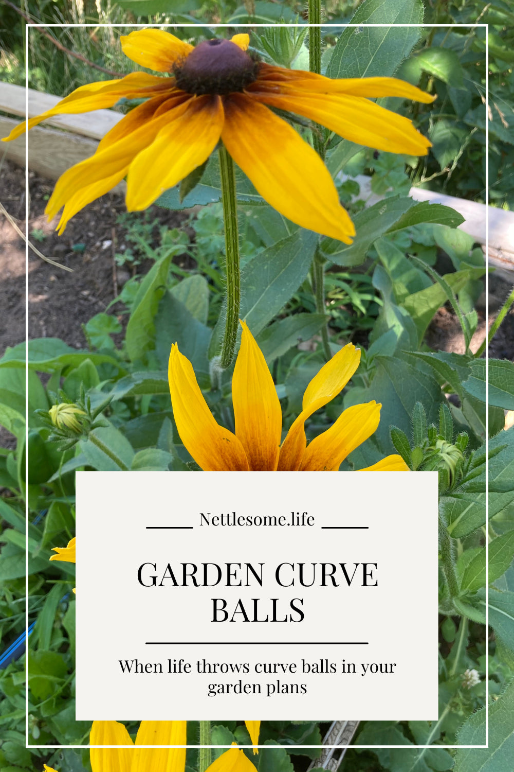 Garden Curve balls