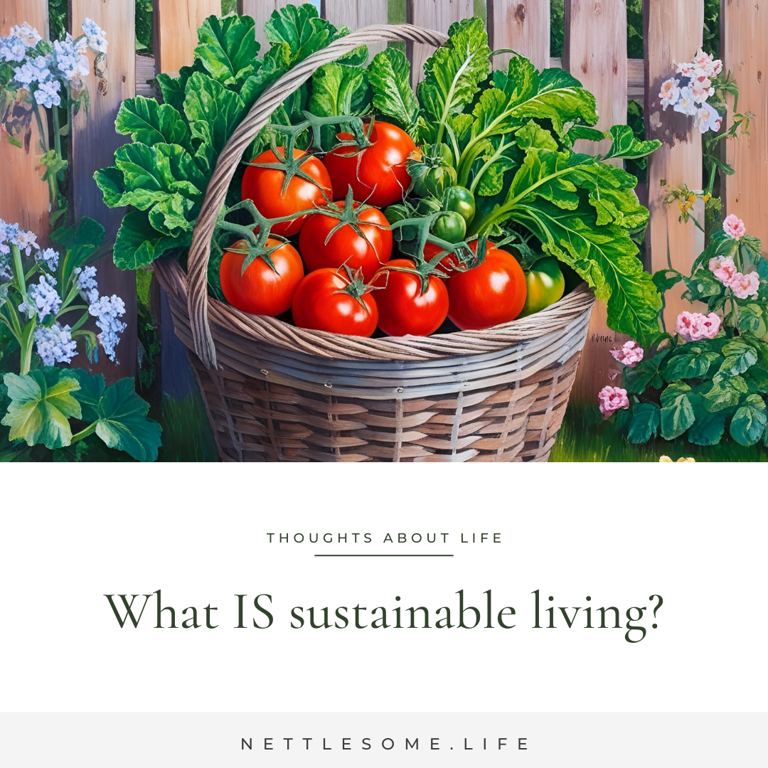 What does sustainable living mean?
