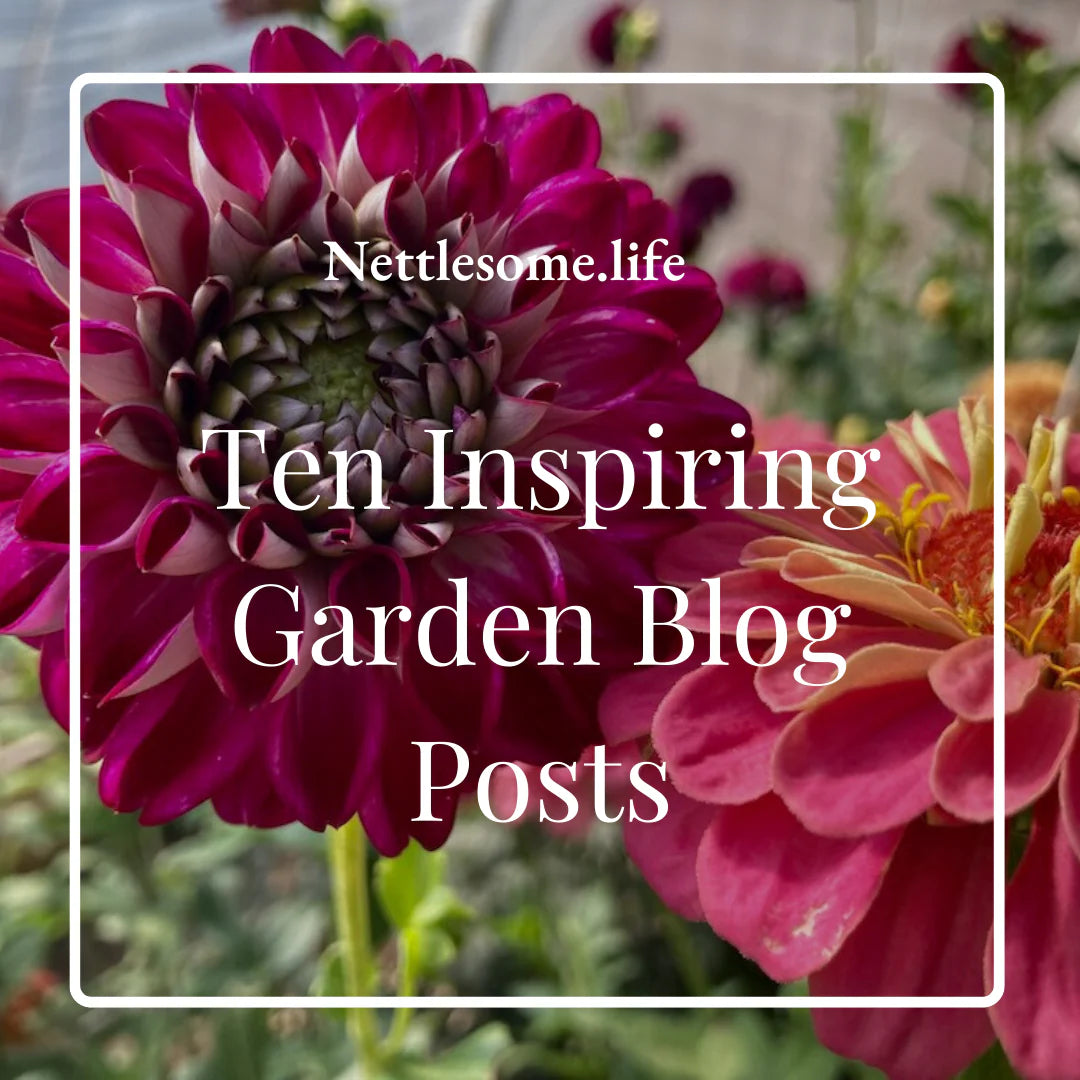 10 Inspiring Garden Blog Posts