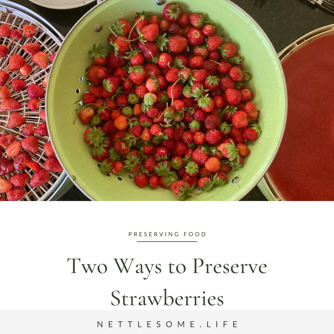strawberries in a colander