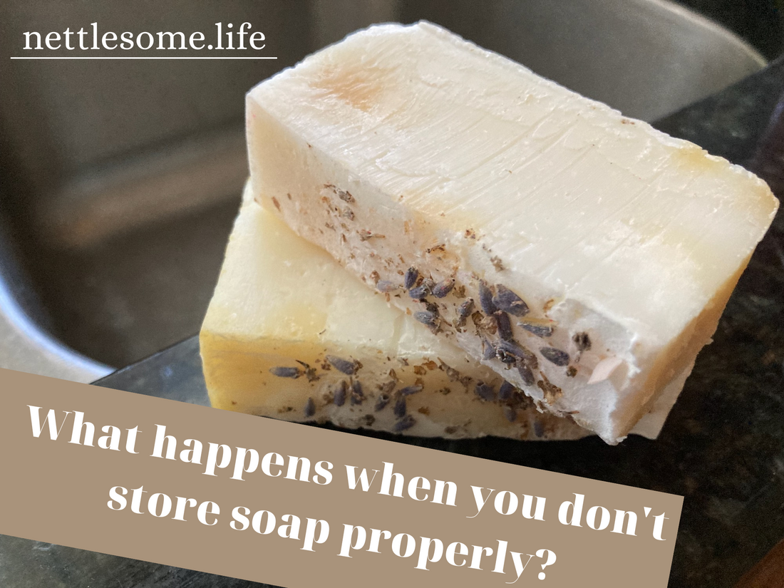 What happens when you don't store your soap properly?
