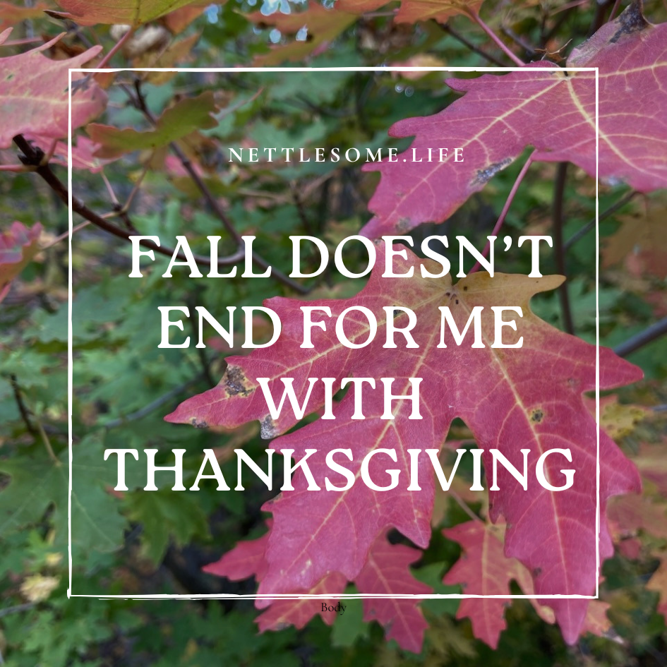 Autumn doesn't end for me with Thanksgiving