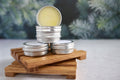 Artisan Shea Butter Lip Balm